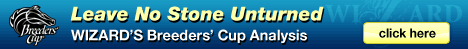 Get the Best in Breeders' Cup Selections!  click here
