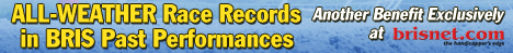 All weather race records by horse ONLY IN BRIS PPs!!!
