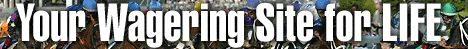 The only site you'll ever need!