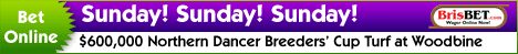 The Best Racing is on BrisBET.com