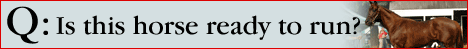 HR PROFESSIONAL CLOCKER REPORTS