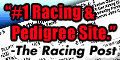 JOIN BRISNET.COM TODAY!