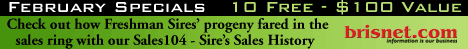 FEBRUARY SPECIALS!
SALES 104 SIRE SALES REPORT
10 FREE!  $100 VALUE