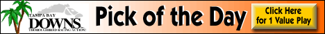 Tampa Bay Downs PICK OF THE DAY  Click here