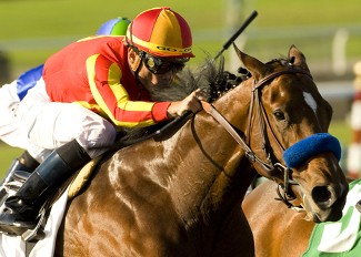 Bet on Horses