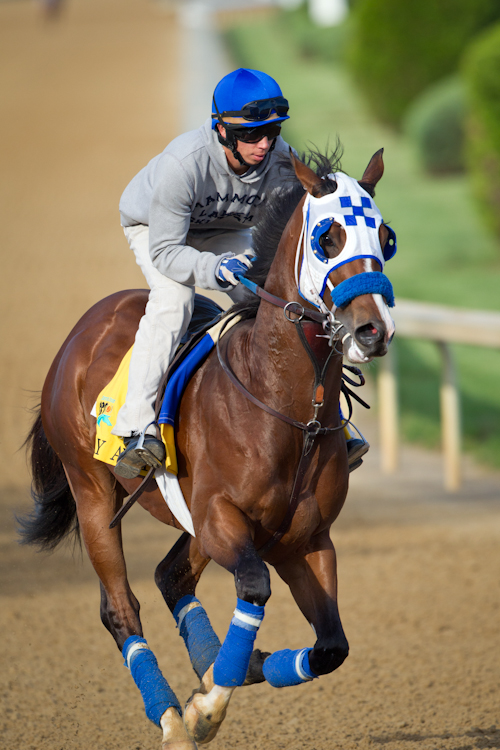 Santiva will skip Preakness; Sway Away works at Churchill