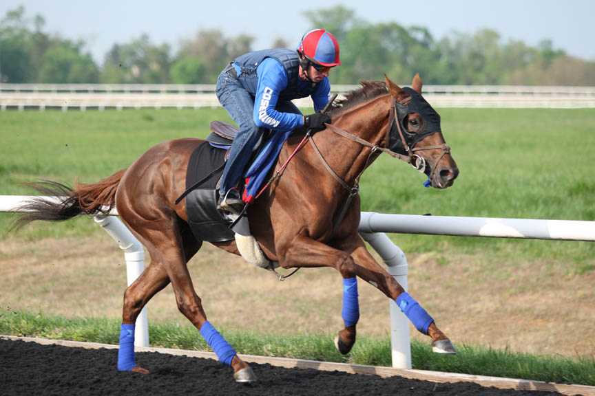 Toby's Corner out of Derby
