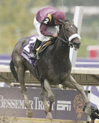 War Pass is the bet in the Kentucky Derby! War Pass is the bet in the Kentucky Derby!