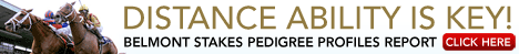 Belmont Stakes Pedigree Profiles  click here now!