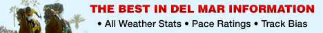 SUPERIOR DEL MAR HANDICAPPING INFORMATION