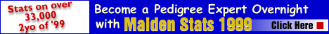 Maiden Stats 1999
