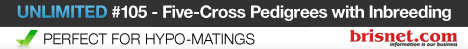 UNLIMITED FIVE-CROSS PEDIGREES!
Dosage, Earnings, Hypos, Inbreeding
No Membership Required!