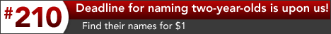 Find newly named 2yos for only $1 with our
#210 Mare Produce Record - All Registered Foals without Race Records!