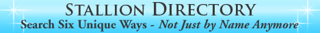 STALLION DIRECTORY SEARCH IN SIX UNIQUE WAYS!
AND IT'S ALWAYS FREE!