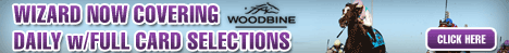 Woodbine full card analysis
