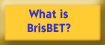 What is BrisBET
