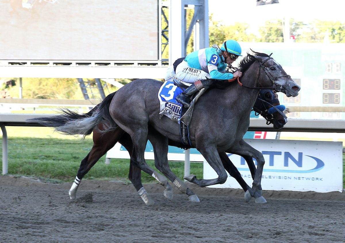 Clicquot gets up late, favorites falter in Cotillion
