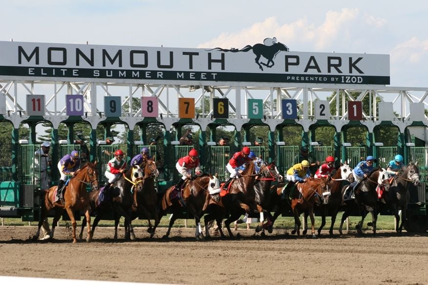 LIVE Haskell Stakes 2025: horse racing news, picks, odds, entries and more