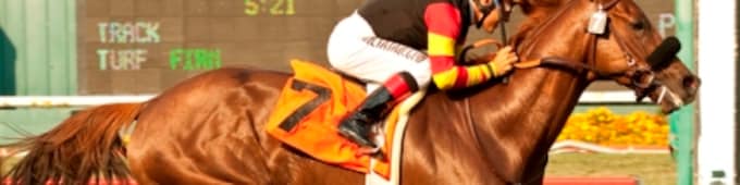 Check out Bob Feld playing the Feud