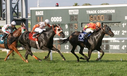 Scat Daddy filly tops OBS session at $875,000