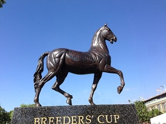 2017 Breeders' Cup Probable Pre-Entries