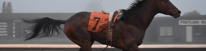 A Day At The Races: Oregon Champions day at Portland Meadows