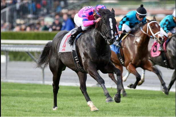Long layoff no problem for Bettys Bambino in San Simeon