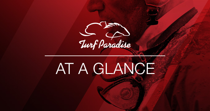 Turf Paradise at a glance graphic image