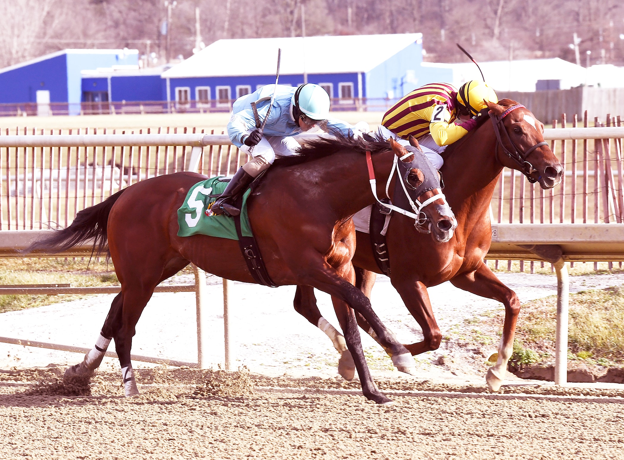 Irish War Cry, Ms Locust Point justify favoritism at Laurel