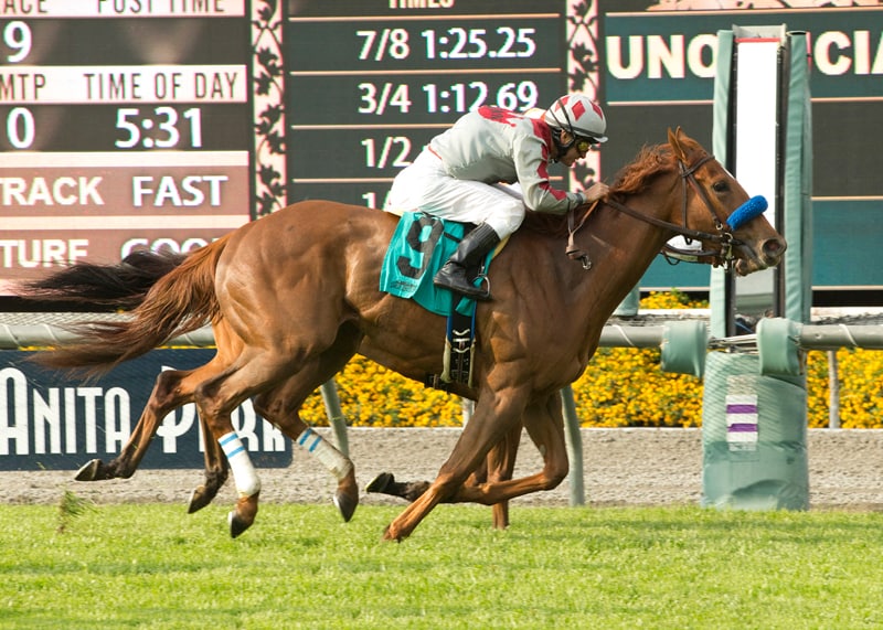Thirteen to clash in American Oaks on New Year's Eve