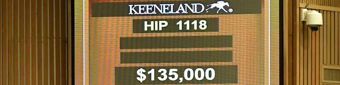 Fifth and Madison leads Keeneland session at $135,000