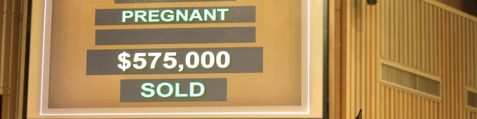 Joyfully tops second Keeneland session at $575,000