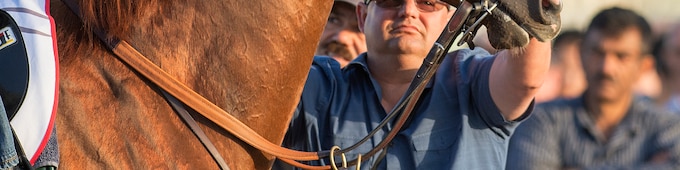California Chrome’s Dubai World Cup win honored as NTRA Moment of the Year