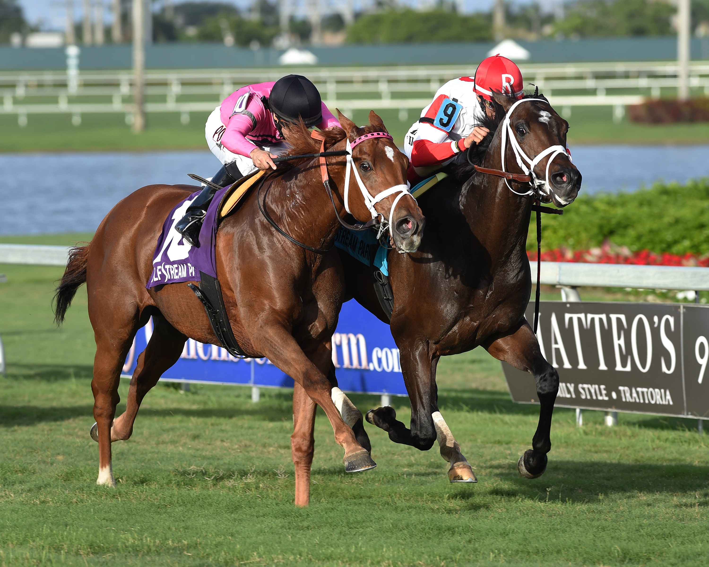 Past winners Twilight Eclipse, Charming Kitten square off in W.L. McKnight