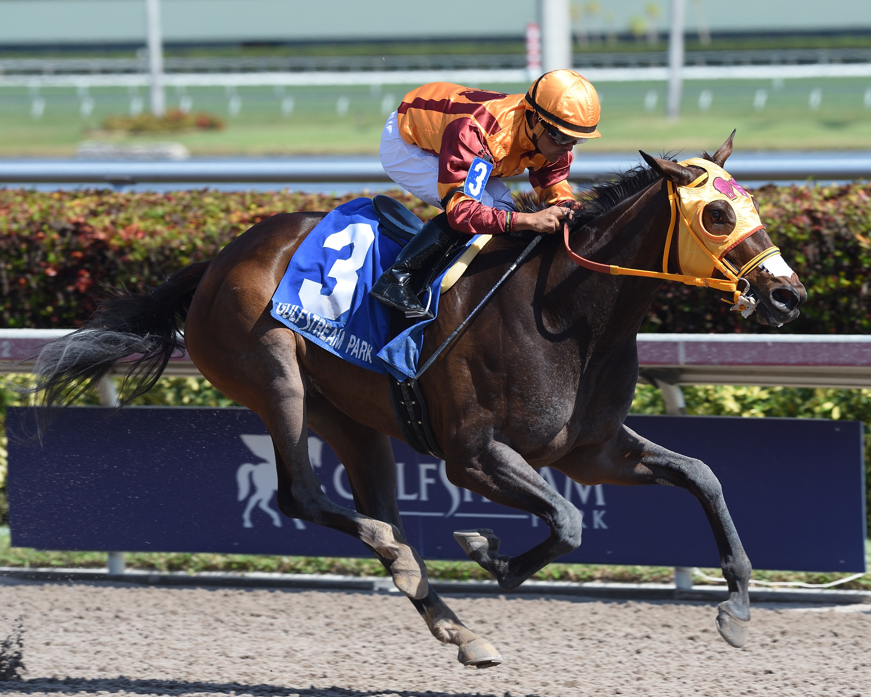 Curlin’s Approval lives up to favoritism in Hurricane Bertie