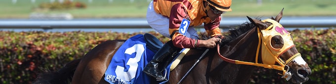 Curlin’s Approval lives up to favoritism in Hurricane Bertie