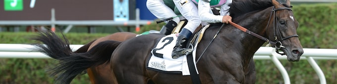 Flintshire (GB) - 2016 Champion Turf Male