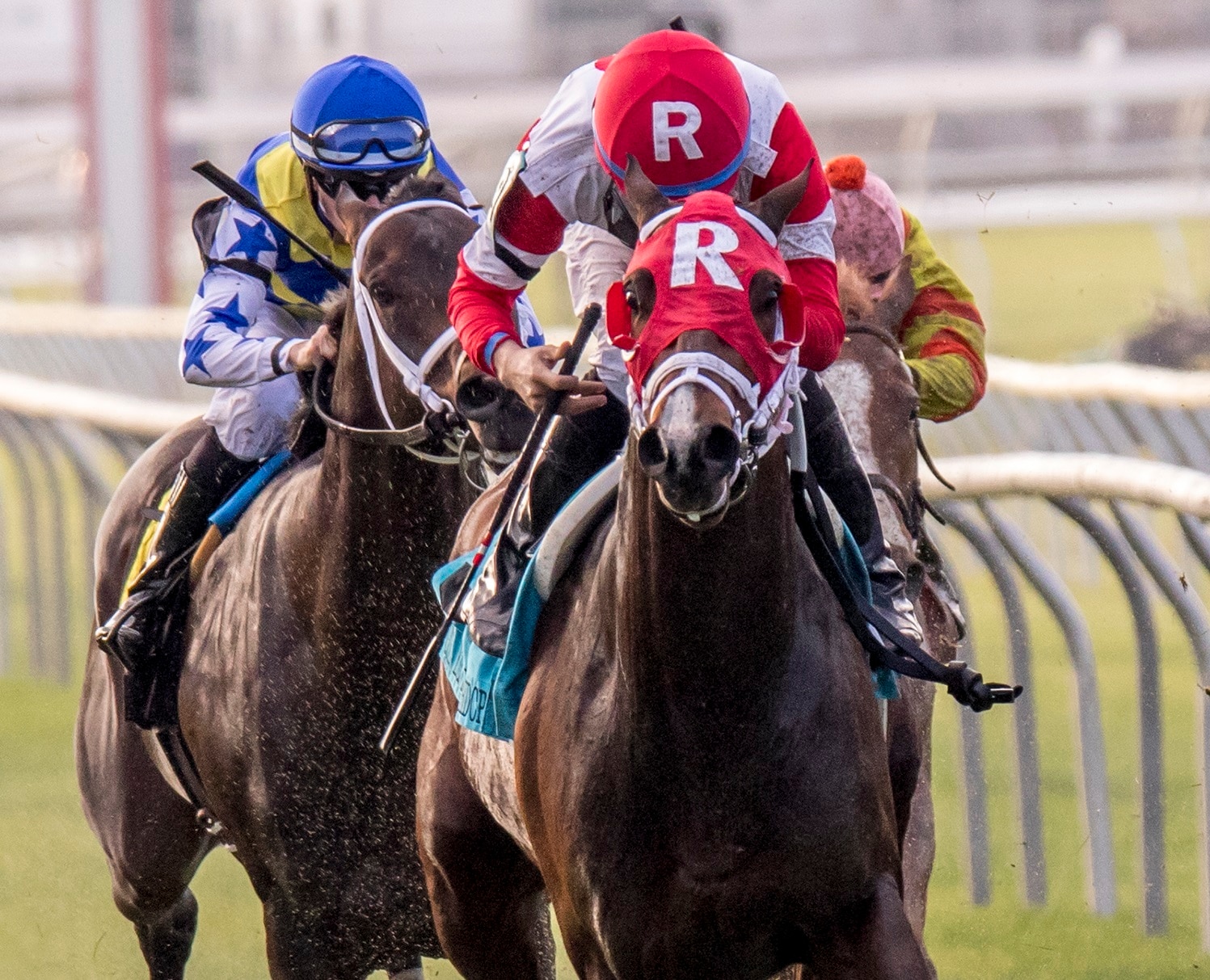 Granny’s Kitten anchors Mena stakes triple at Fair Grounds