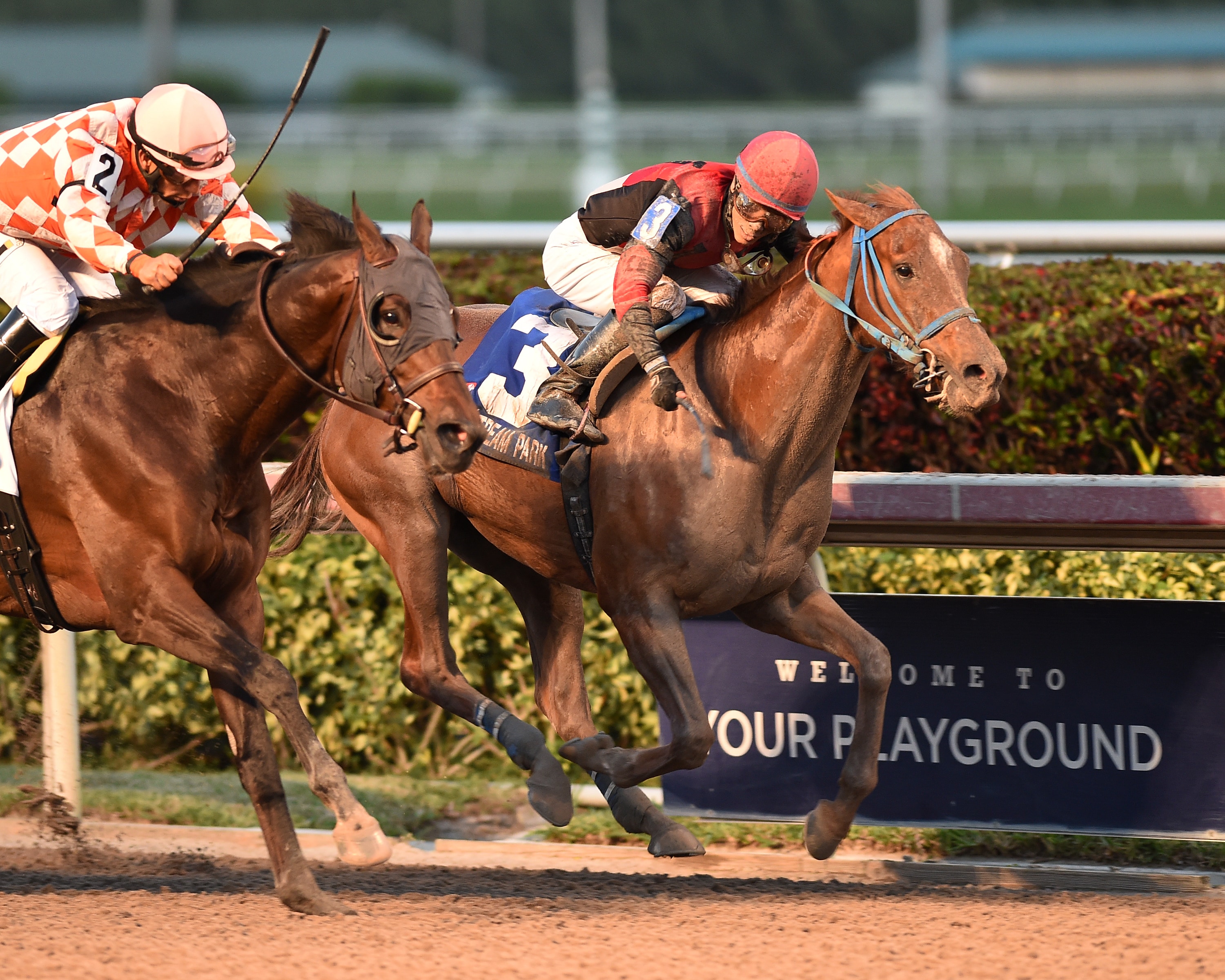 Close finishes highlight Sunshine Millions