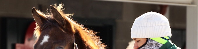 Keeneland January begins Monday