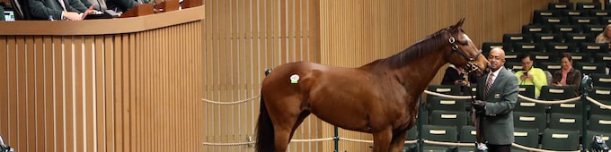 Dixie Victory headlines penultimate session of Keeneland January