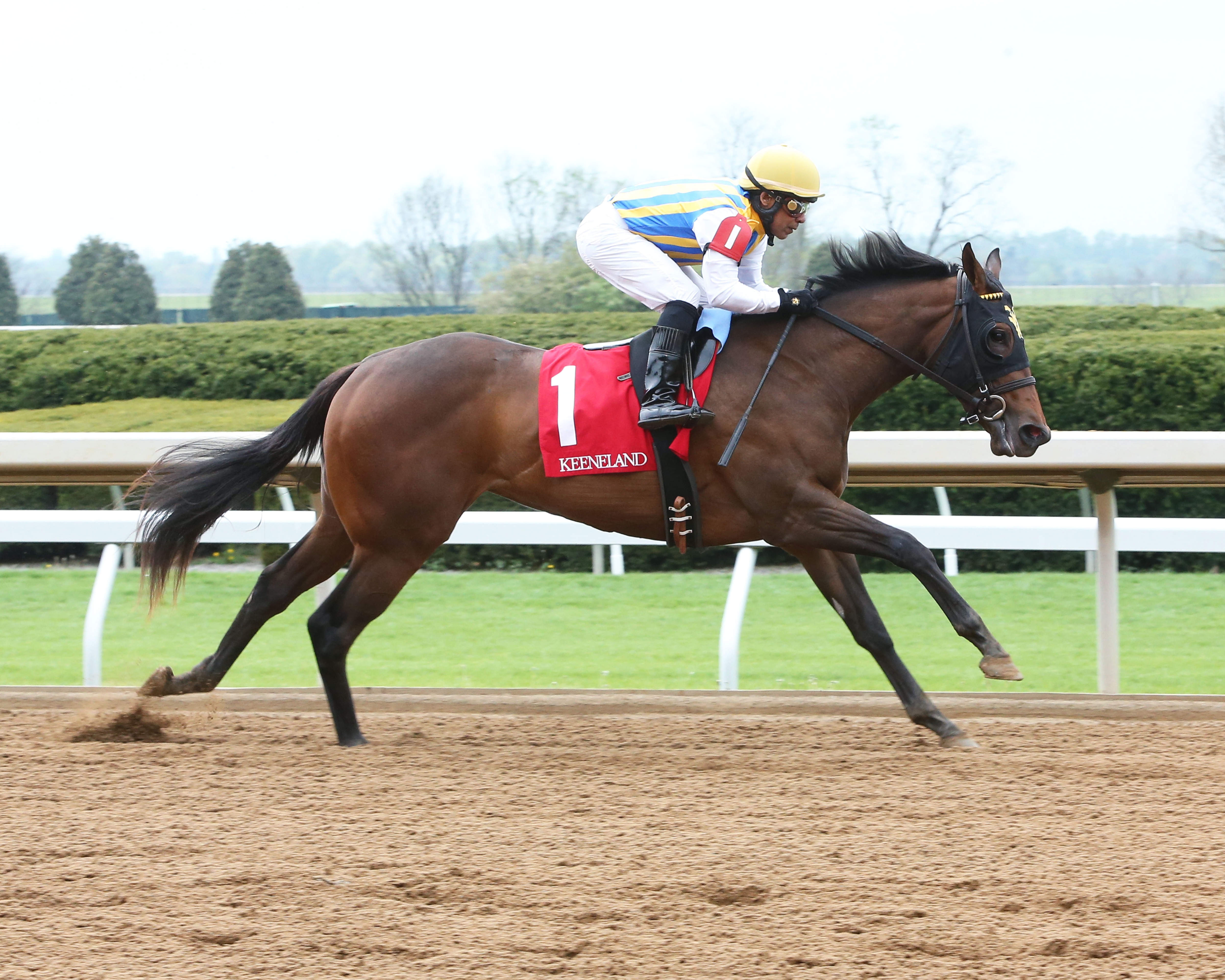 Q&A: Is Lady Aurelia worthy of being an Eclipse finalist?