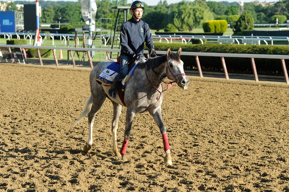 NYRA to offer bonus to Japan-based winner of 2017 Belmont Stakes