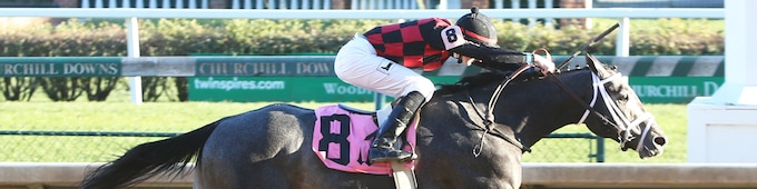 Petrov, Uncontested breeze for Southwest; Chief Know It All joins Southwest conversation