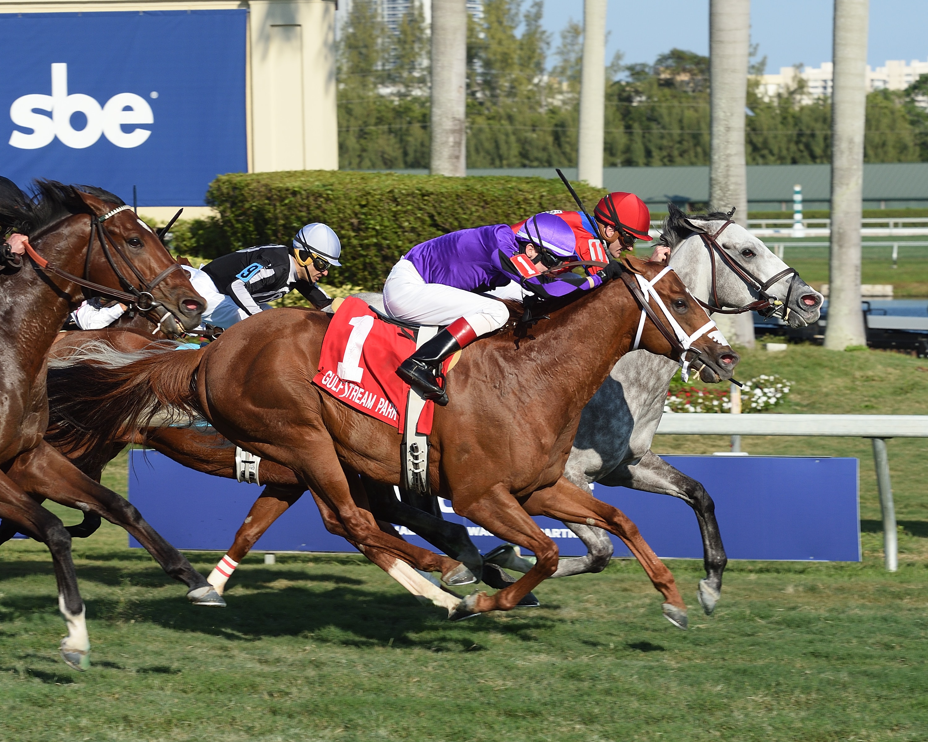 Power Alert holds in GP Turf Sprint, Pretty Perfection wins Ladies' Turf Sprint