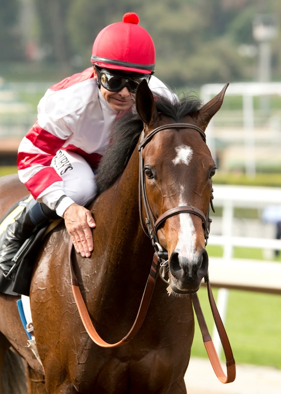 Songbird works three-eighths, possible for Beholder Mile