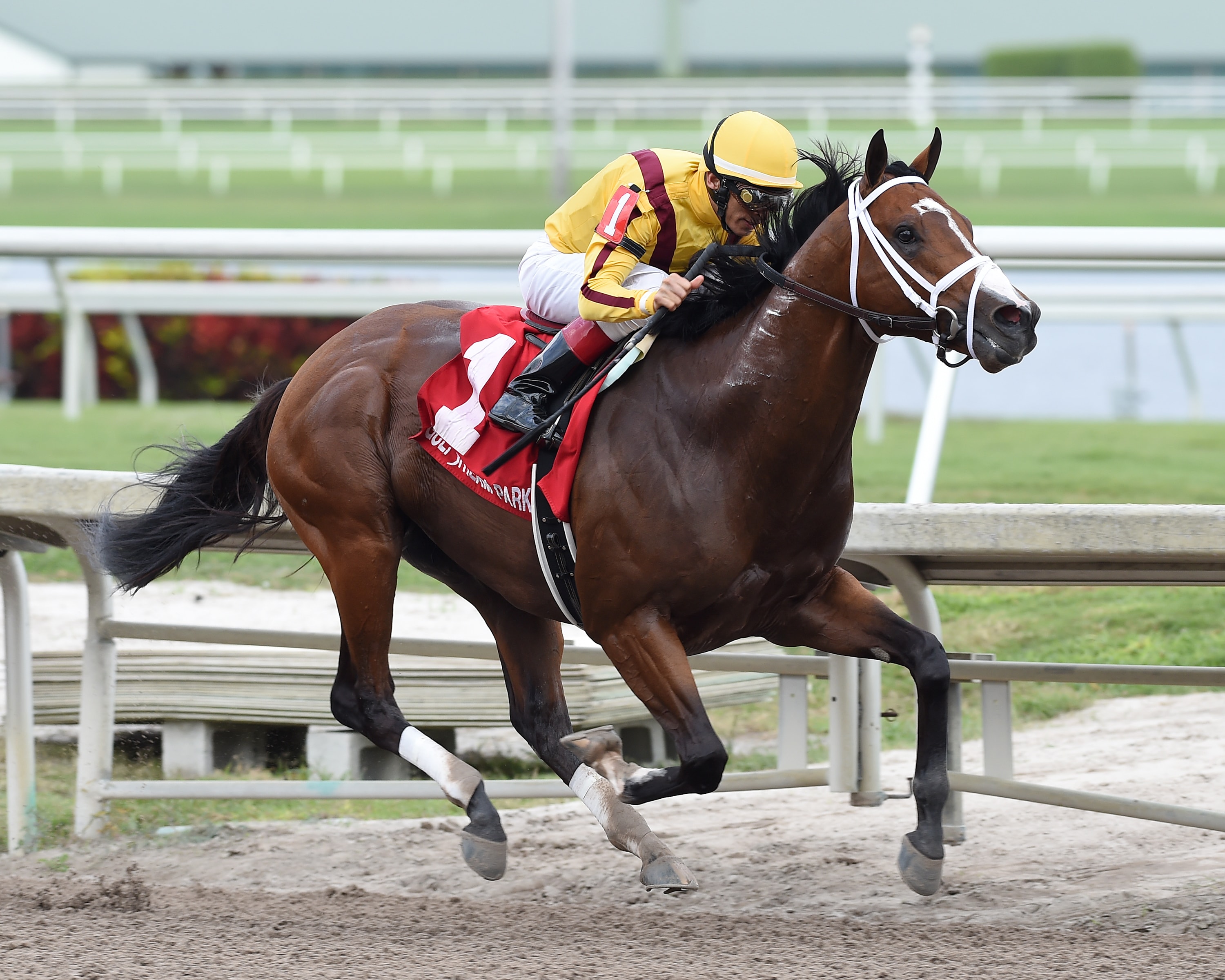 Eight line up in Charles Town Classic