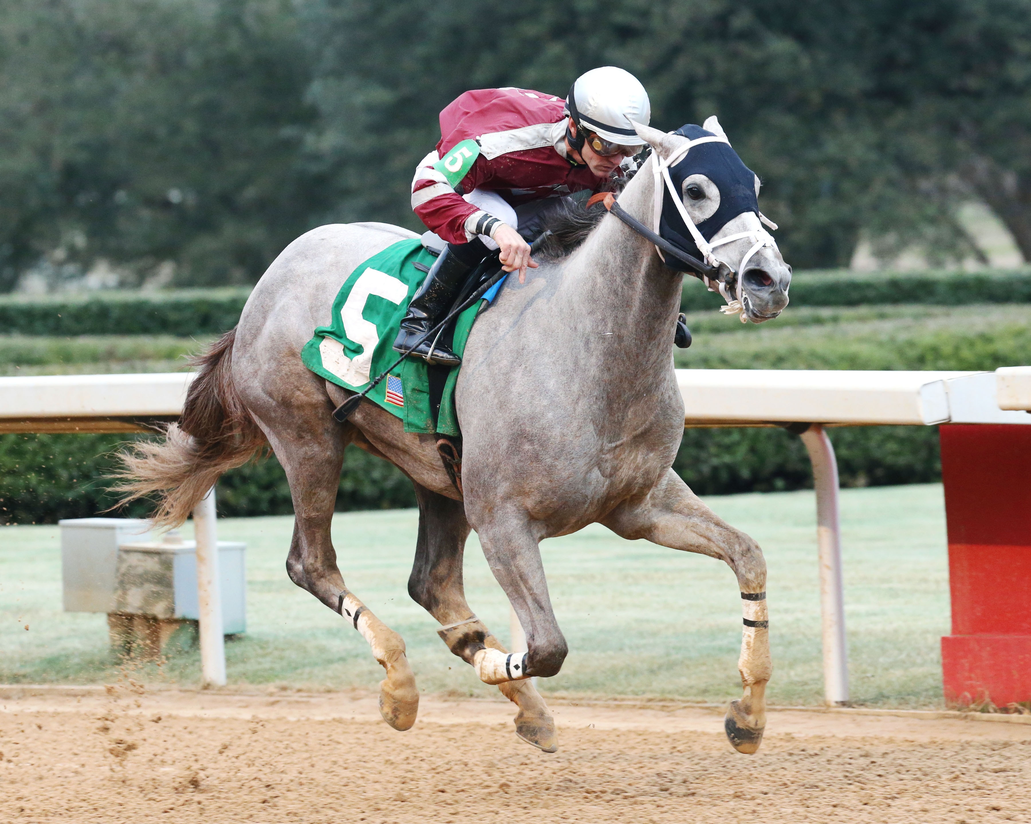 Martha Washington draws competitive field of nine