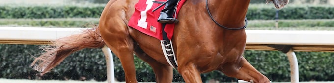 Gun Runner makes all in Razorback romp