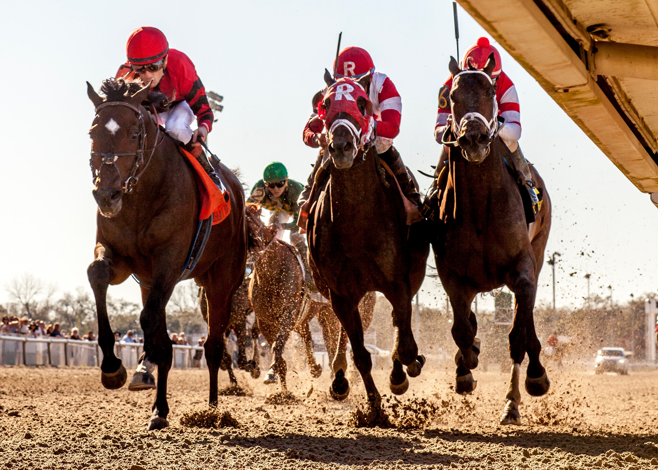 Enterprising, Honorable Duty prevail on Risen Star undercard